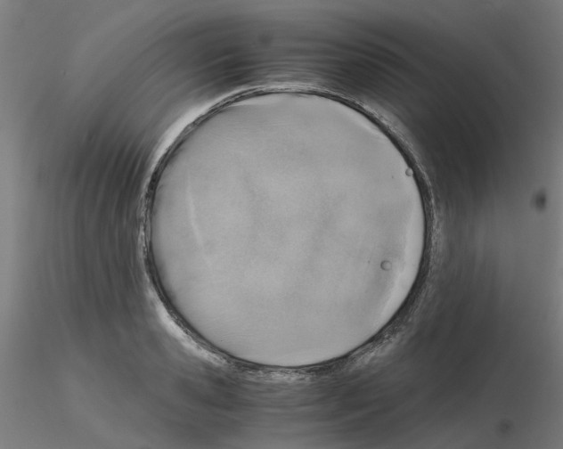 X0000115640941200912221307