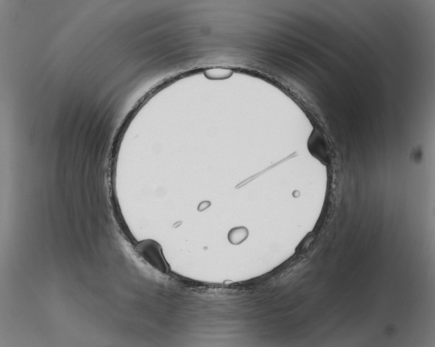 X0000115640942200912221307