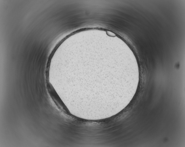 X0000115640943200912221307