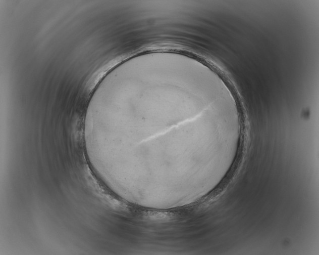 X0000115640945200912221307