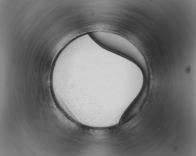 X0000115640946200912221307