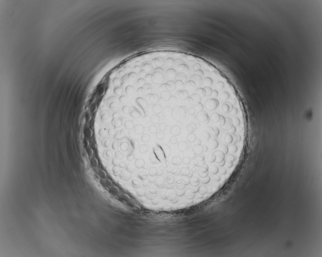 X0000115640949200912221307