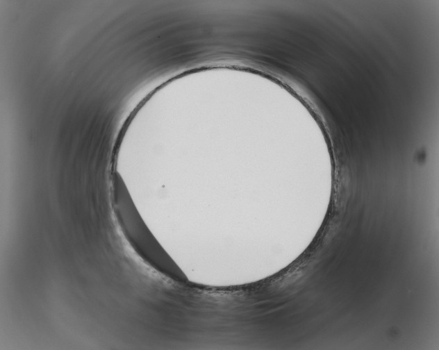 X0000115640951200912221307