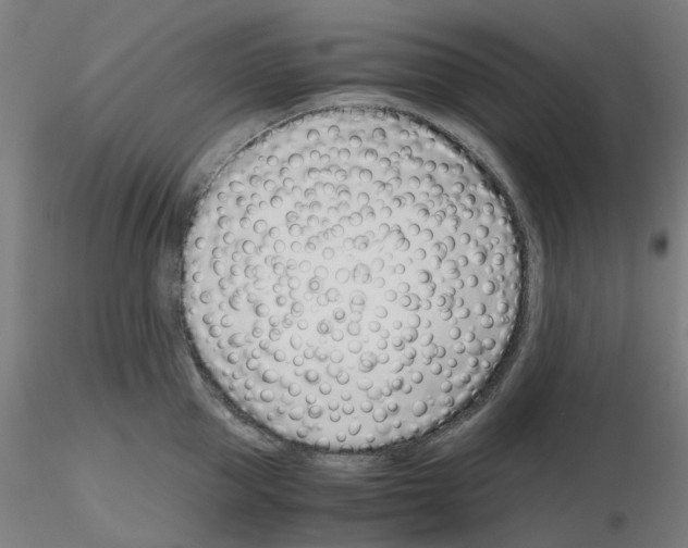 X0000115640953200912221307