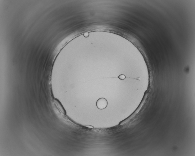 X0000115640954200912221307
