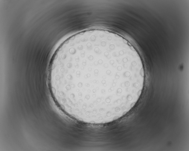 X0000115640955200912221307