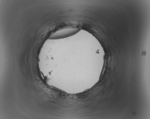 X0000115640961200912221307