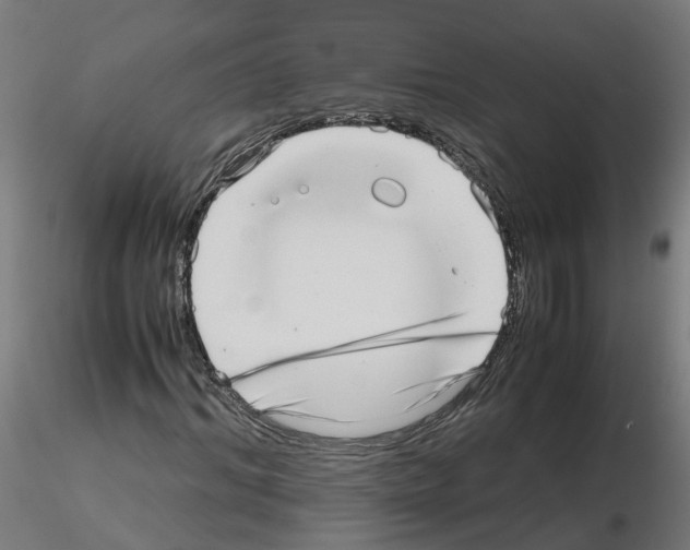X0000115640964200912221307