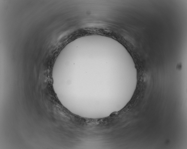 X0000115640965200912221307
