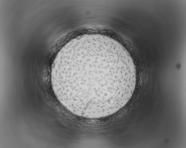 X0000115640966200912221307
