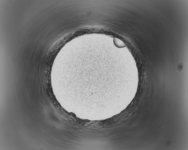 X0000115640967200912221307