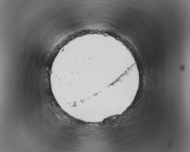 X0000115640968200912221307