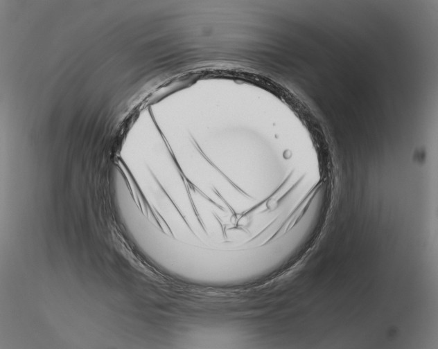 X0000115640969200912221307