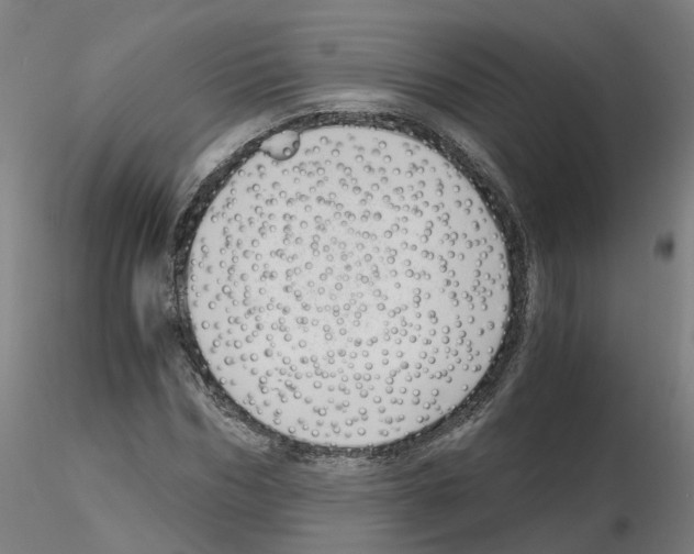 X0000115640970200912221306