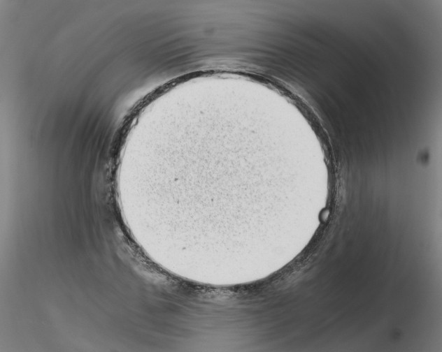 X0000115640971200912221306