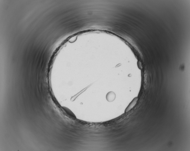X0000115640972200912221306