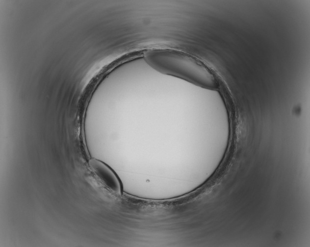 X0000115640973200912221306