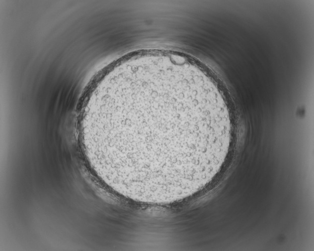 X0000115640974200912221306