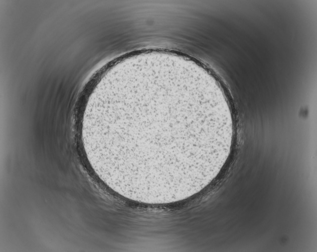 X0000115640975200912221306