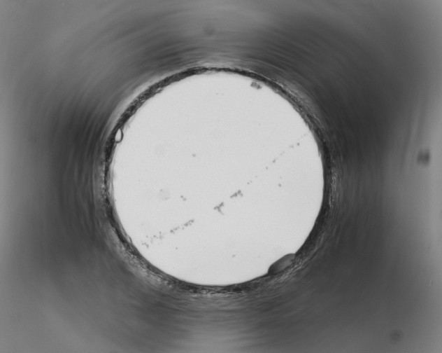X0000115640976200912221306