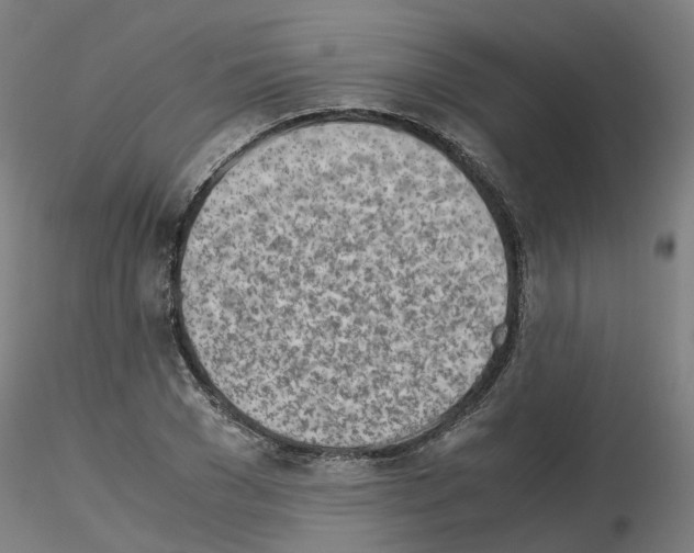 X0000115640977200912221306