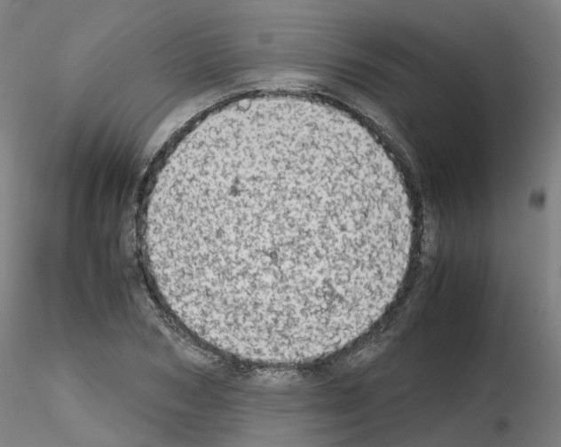X0000115640978200912221306