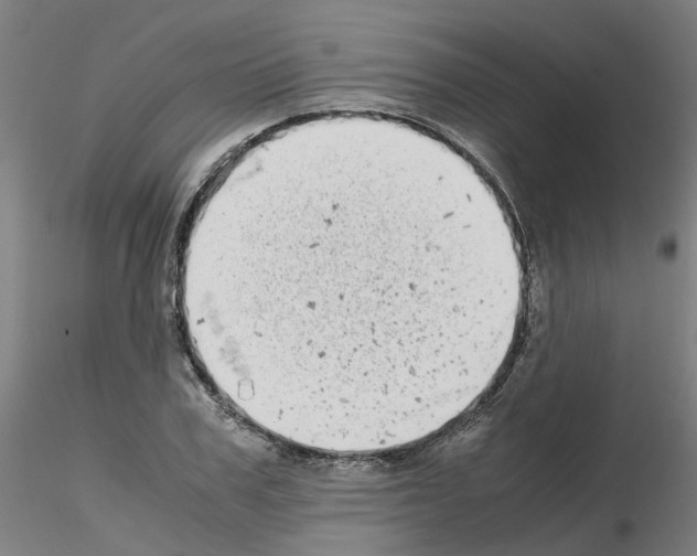 X0000115640979200912221306