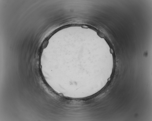 X0000115640981200912221306