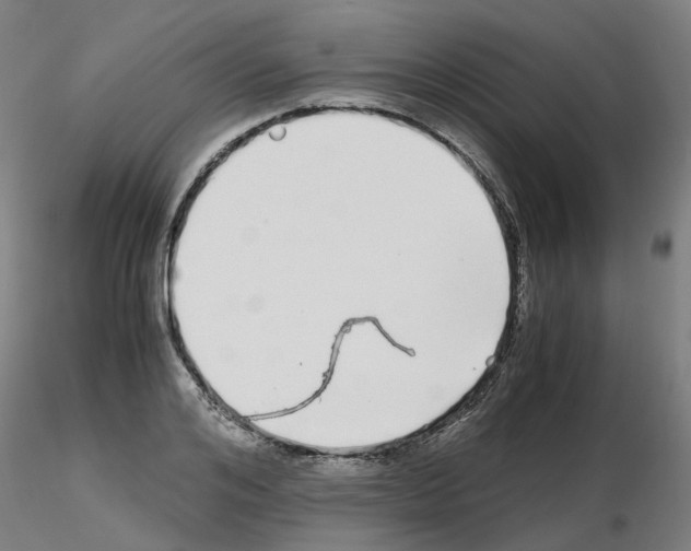 X0000115640984200912221306