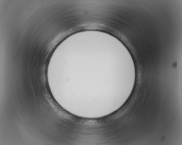 X0000115640986200912221306