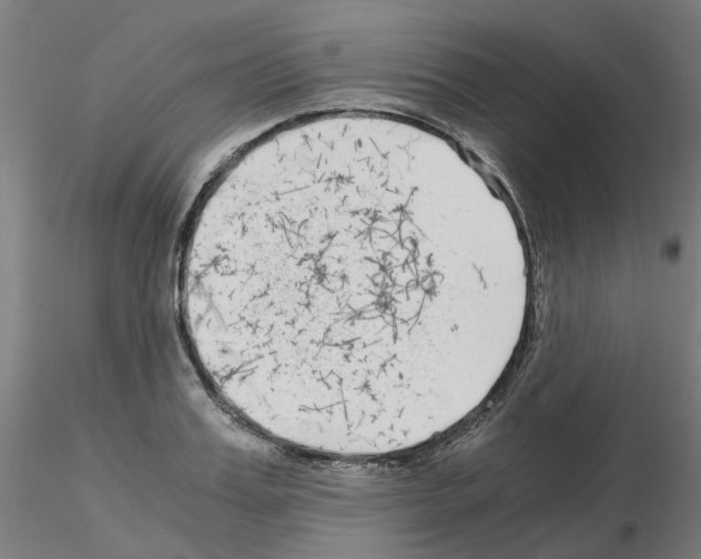 X0000115640987200912221306