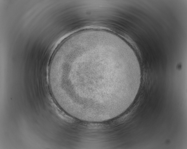X0000115640988200912221306