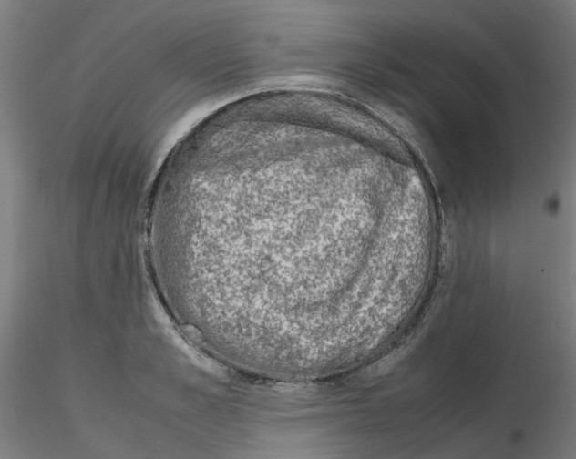 X0000115640989200912221306