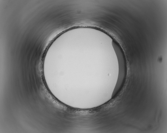 X0000115640990200912221306