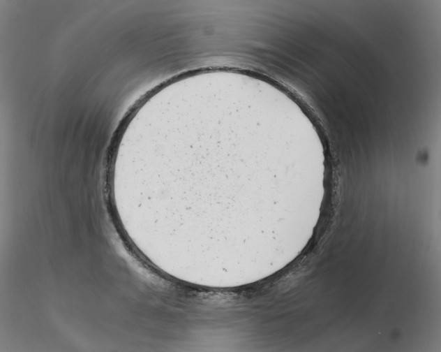 X0000115640991200912221306