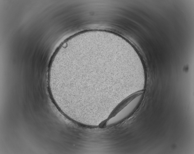 X0000115640992200912221306