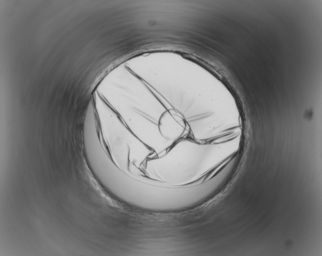 X0000115640993200912221306