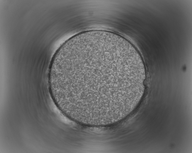 X0000115640995200912221306