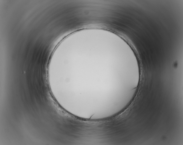 X0000115640996200912221306