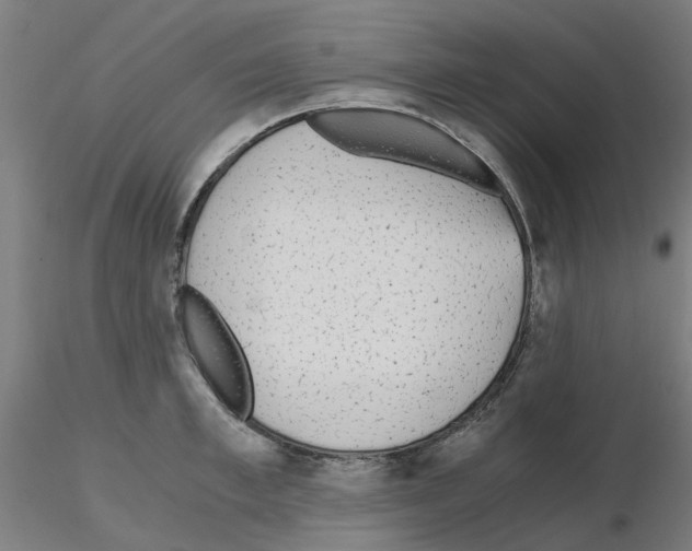 X0000115640997200912221306