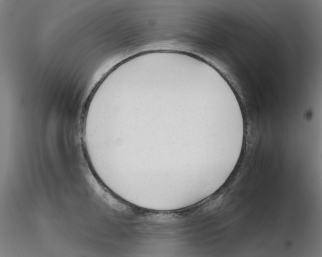 X0000115640998200912221306