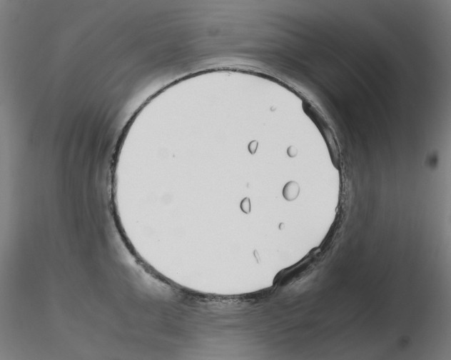 X0000115640999200912221306