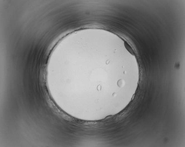 X0000115641000200912221306