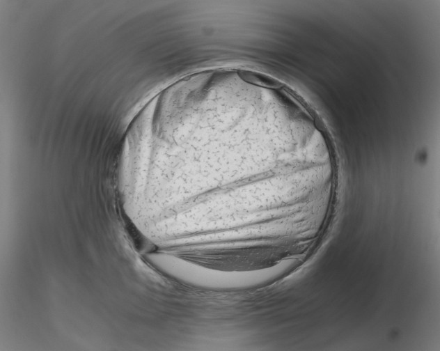 X0000115641001200912221306