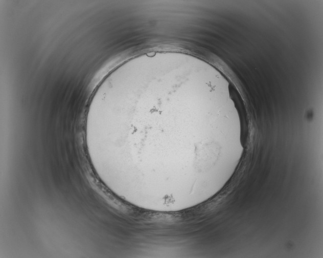 X0000115641002200912221306