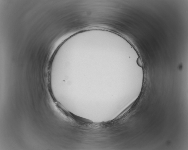 X0000115641003200912221306