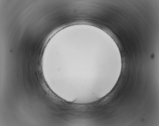 X0000115641004200912221306