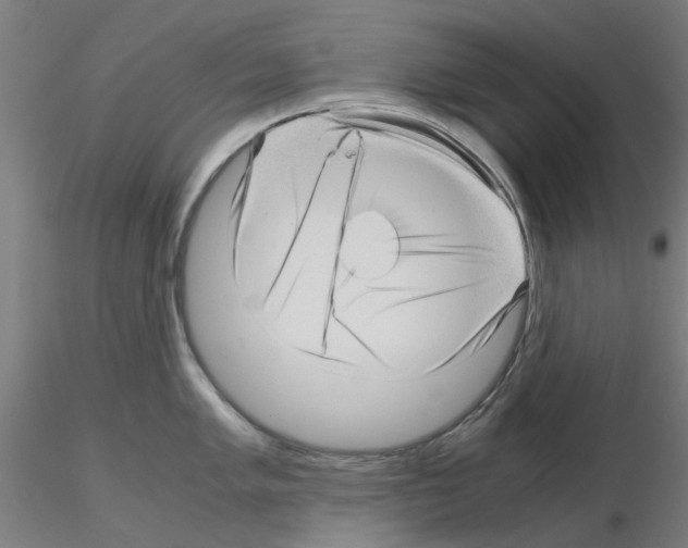 X0000115641005200912221306