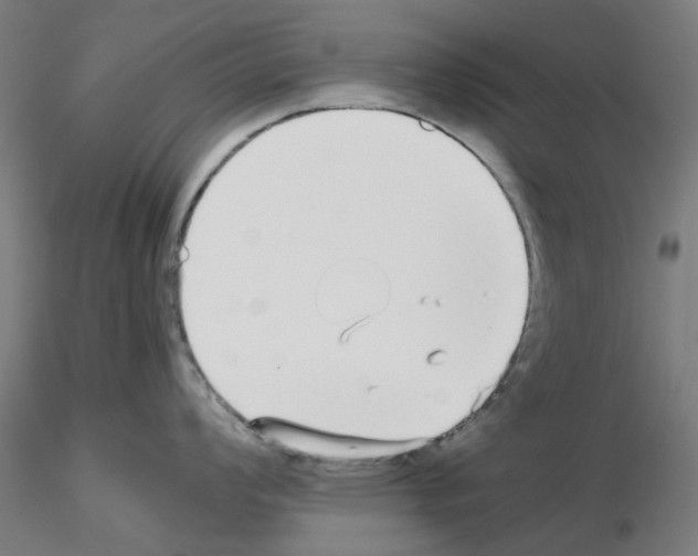 X0000115641008200912221306