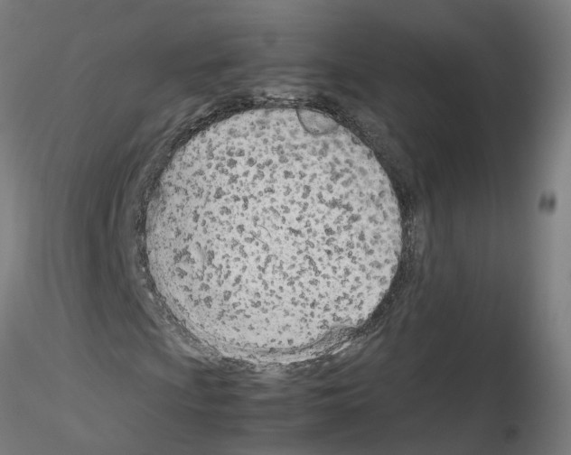 X0000115641009200912221305